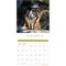 BrownTrout; Fantasy Pugs OFFICIAL | 2027 12 x 24 Inch (Hanging) Monthly Square Wall Calendar | Foil Stamped Cover | Plastic-Free; Category:Wall Calendars; Image:5